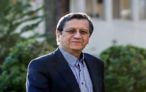 همتی: ایران عضو بانک توسعه نوین بریکس می‌شود