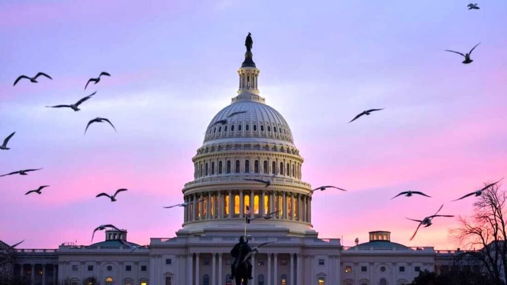 کاخ+سفید (1)