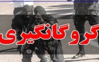 گروگانگیری در خیابان معروف تهران