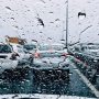 باران (2) (1)