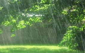 باران پراکنده در چهار استان شمالی