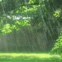 باران پراکنده در چهار استان شمالی