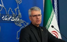بقایی (3)
