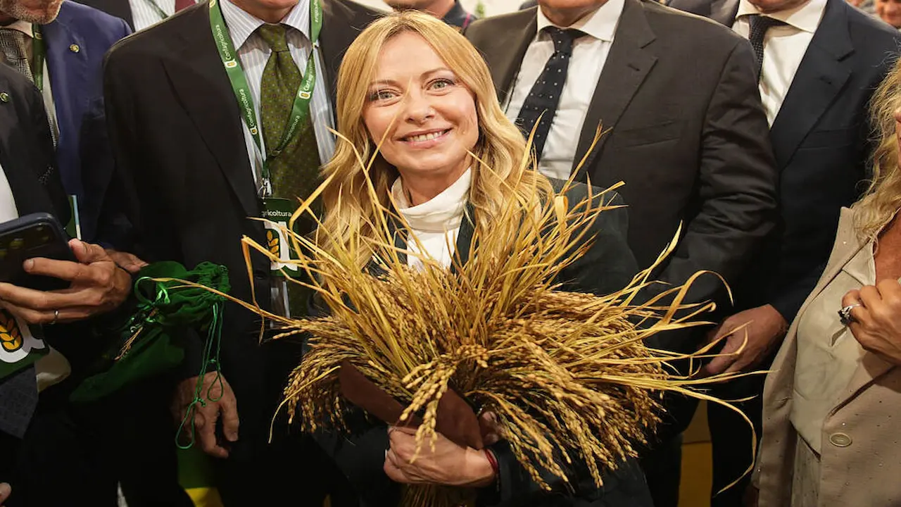 جشنواره بین‌المللی برنج ریزو