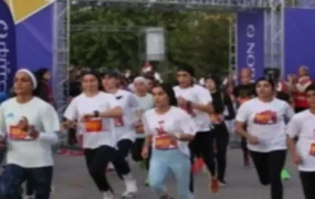 دو مارتن تهران