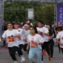 دو مارتن تهران