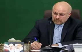 رئیس مجلس قانون ملی توسعه هوش مصنوعی