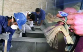 شورای عالی معیشت