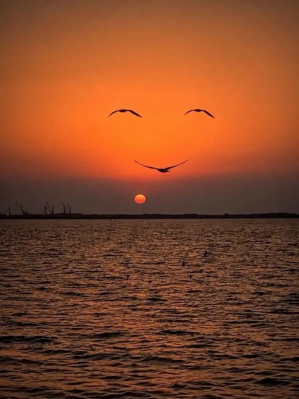 عکس های خاص