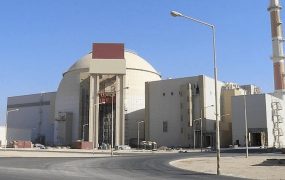 مدیرعامل شرکت دولتی روس اتم (1)