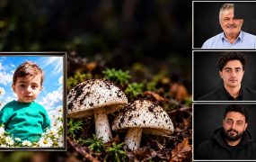 مرگ 4 عضو یک خانواده با خوردن قارچ سمی