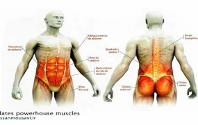 مقابله با پیری