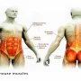 مقابله با پیری