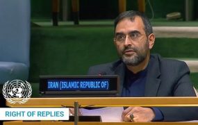 ناصر اسدی