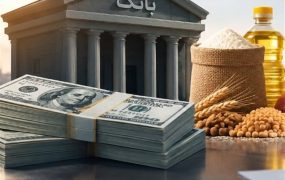 واردات کالاهای اساسی