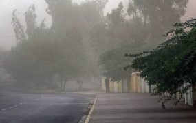 وزش باد (1)