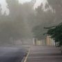 وزش باد (1)