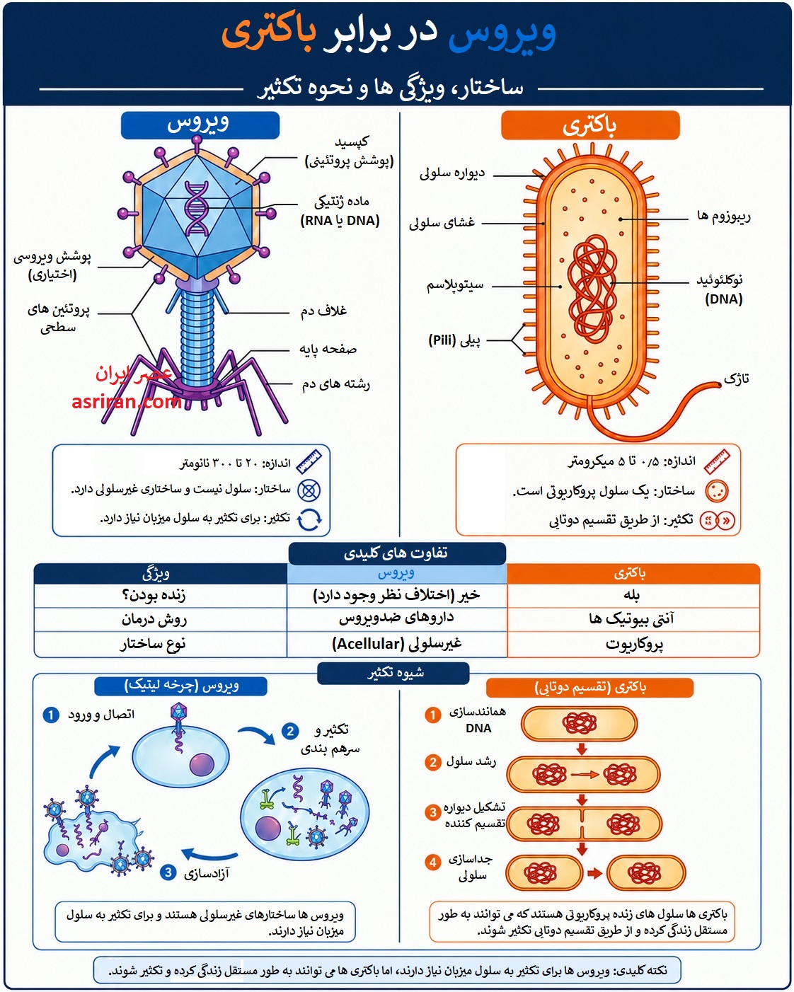 تفاوت ویروس و باکتری