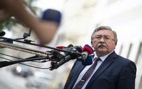اولیانوف (2)