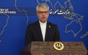 بقایی (6)