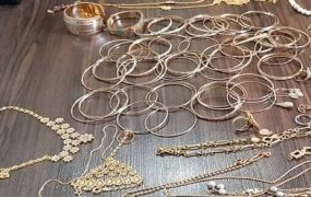 دستگیری سارقان حرفه‌ای