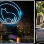 دعوت از ۳ فیلم کوتاه ایرانی به جشنواره تالین