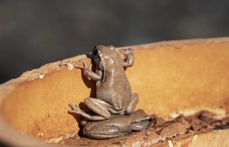 عکس‌های خنده‌دار دنیای حیوانات در سال ۲۰۲۶