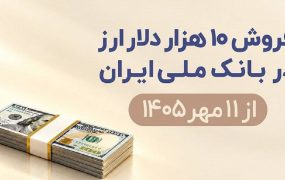 فروش ۱۰ هزار دلار با کارت ملی در ۵ بانک آغاز شد