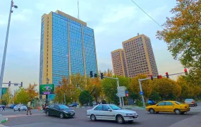 قوه قضاییه