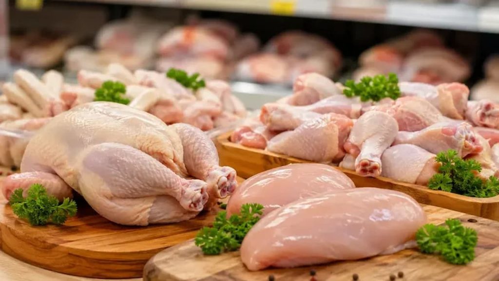 قیمت مرغ
