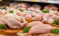 قیمت مرغ