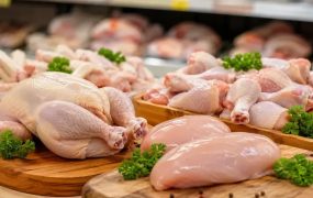 قیمت مرغ