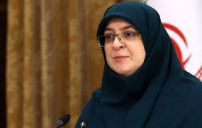 مهاجرانی واردات خودرو متوقف شد
